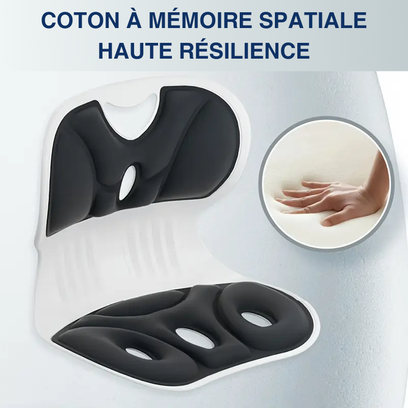 Coussin de soutien lombaire, anti-fatigue multi-usage, ergonomique en nylon respirant et lavable