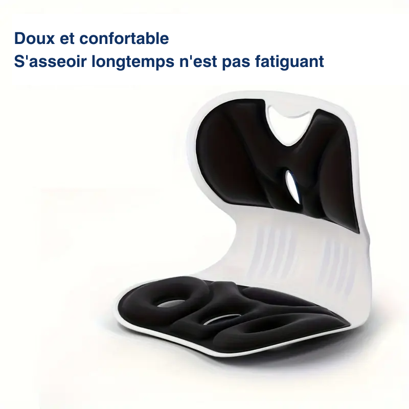 Coussin de soutien lombaire, anti-fatigue multi-usage, ergonomique en nylon respirant et lavable